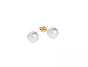 Palido Ohrstecker 14kt Gelbgold 0,6g Zuchtperlen 6,5mm 