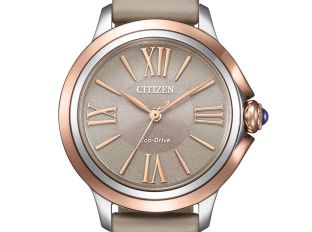 Citizen Elegant Ref.EM1166-01Z Full Set Neu