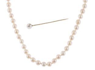 Halskette Anstecknadel Akoya Zuchtperlen 14kt Gelbgold 23,5g 6,5mm 450mm 