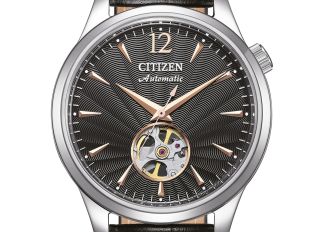 Citizen Mechanical Ref.NH9131-14E Full Set Neu