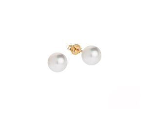 Palido Ohrstecker 14kt Gelbgold 0,6g Zuchtperlen 6,5mm